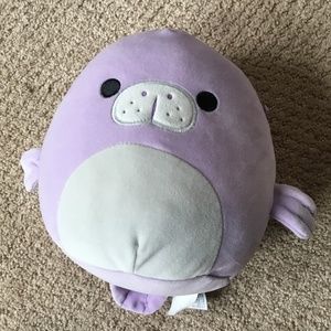 Elephant seal squishmallow 8”🎀✨🌷
